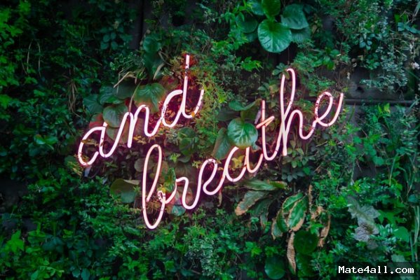 7 reasons why you should start breathing exercises