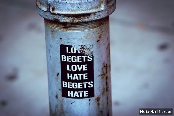 20 interesting facts about haters you must know 