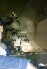 Dating with afghan_rock